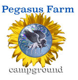 Pegasus Farm Campground Elkins WV 26241